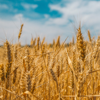 1653371656.png 1653371656.png