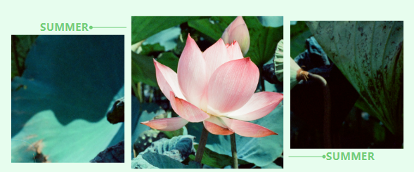 1658472801.png image.png