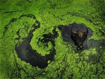 1670295952.jpg 24952753984769.jpg