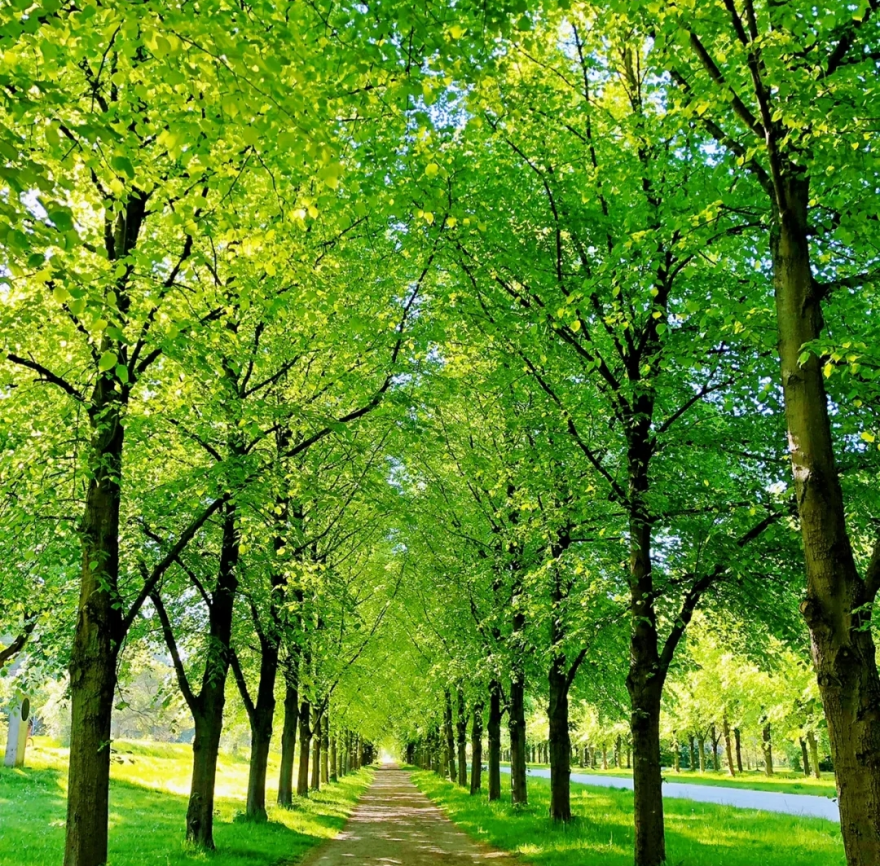 1679636520.png 640 (9).png