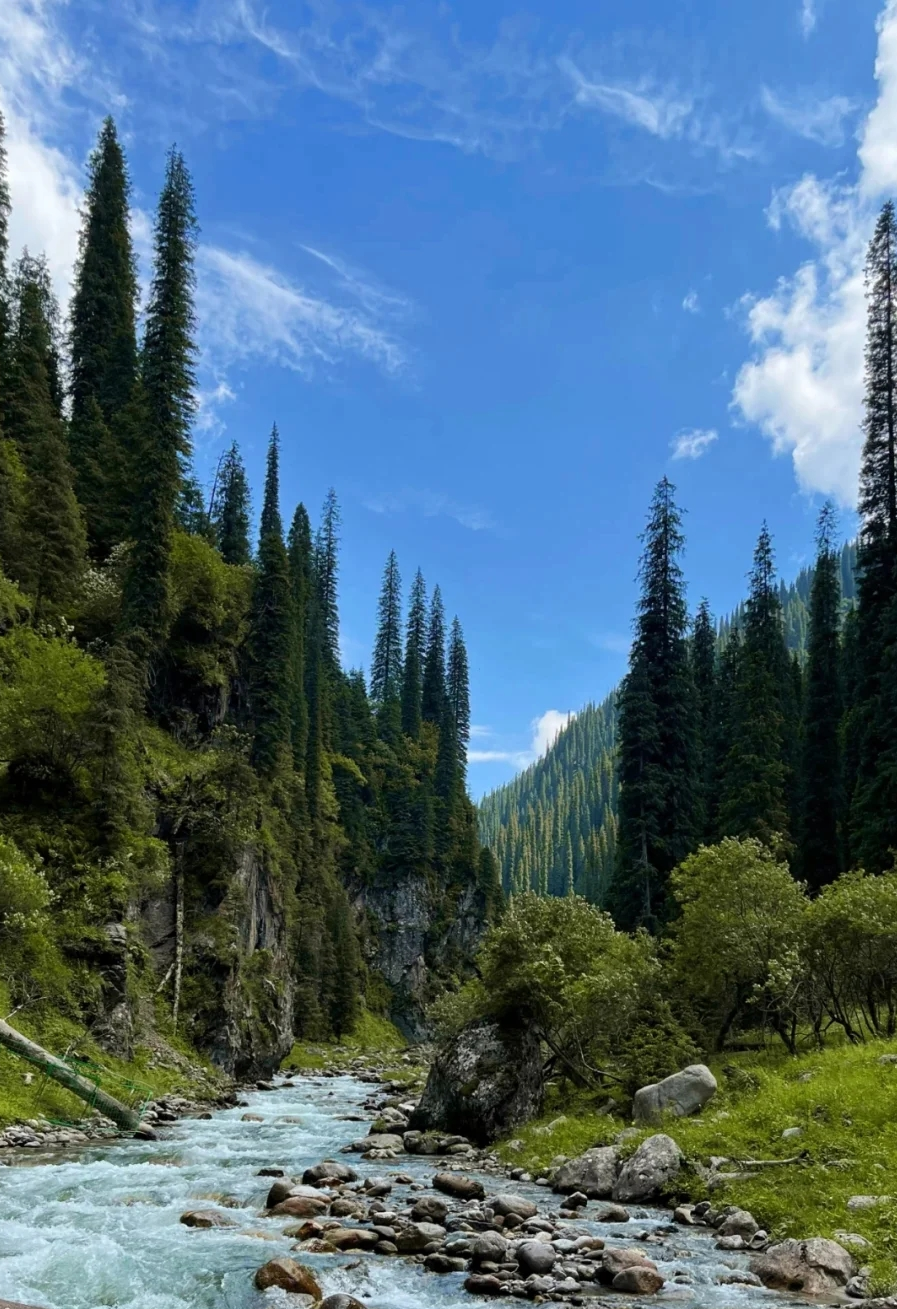 1679636541.png 640 (10).png