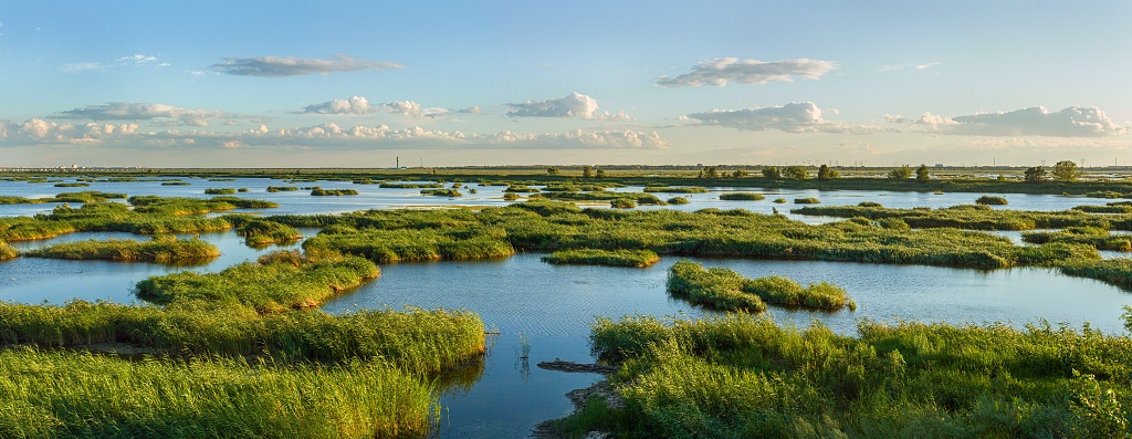 1685941668.jpg 微信圖片_20230605114312_看圖王.jpg