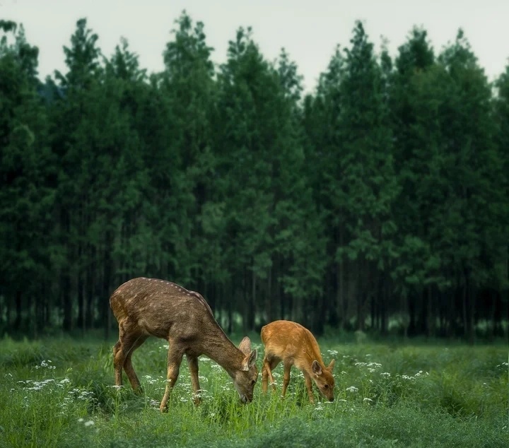 1685941767.jpg 微信圖片_20230601171013_看圖王.jpg