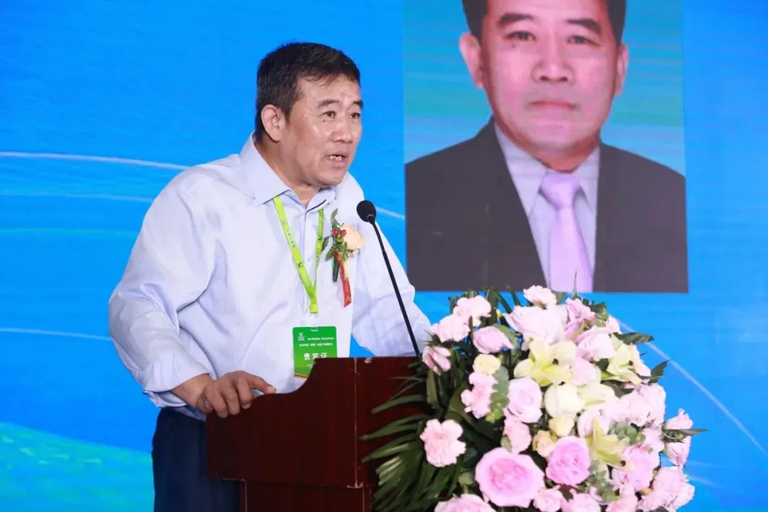 1720488312.png 02.webp.png