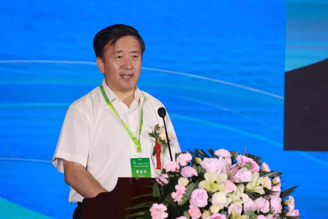 1720488344.png 04.webp.png