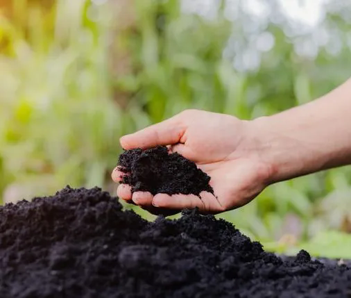 1729228409.png 640.webp (8).png