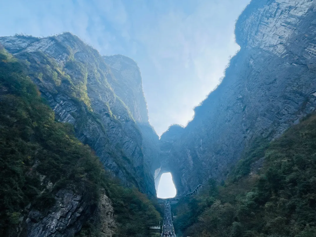 1730854982.png 640.webp (10).png